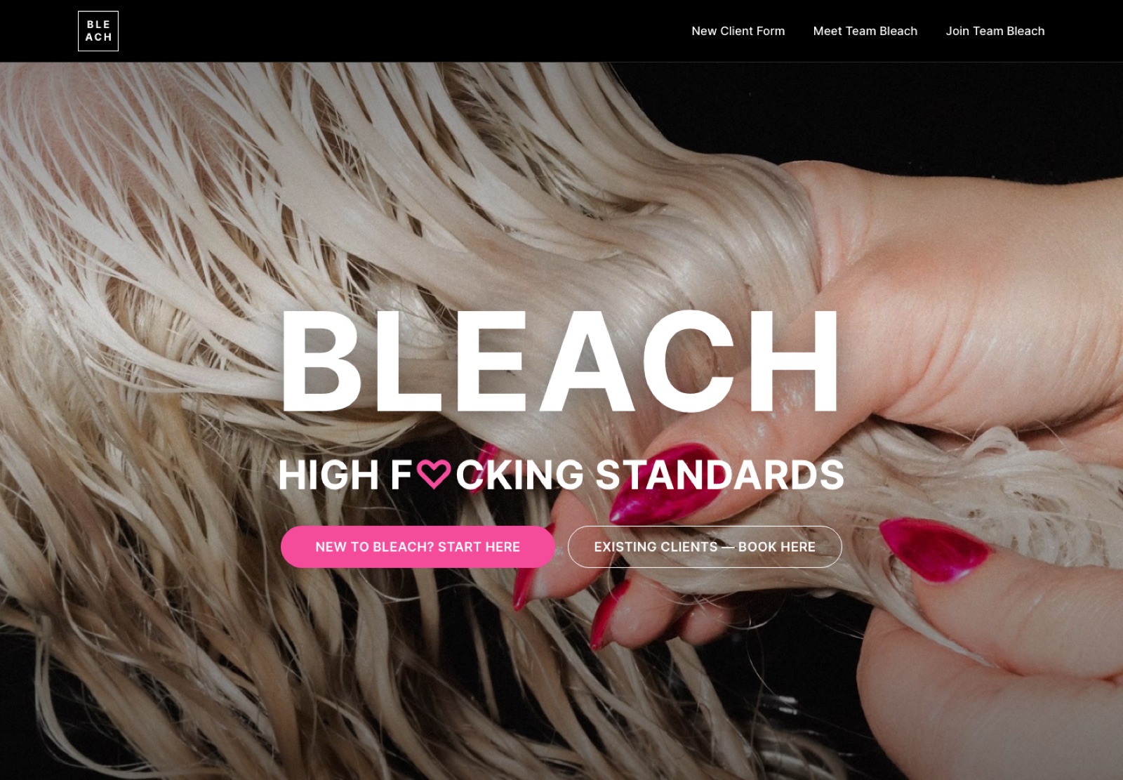Bleach Hair Co. website: BLEACH headline over blonde hair photography